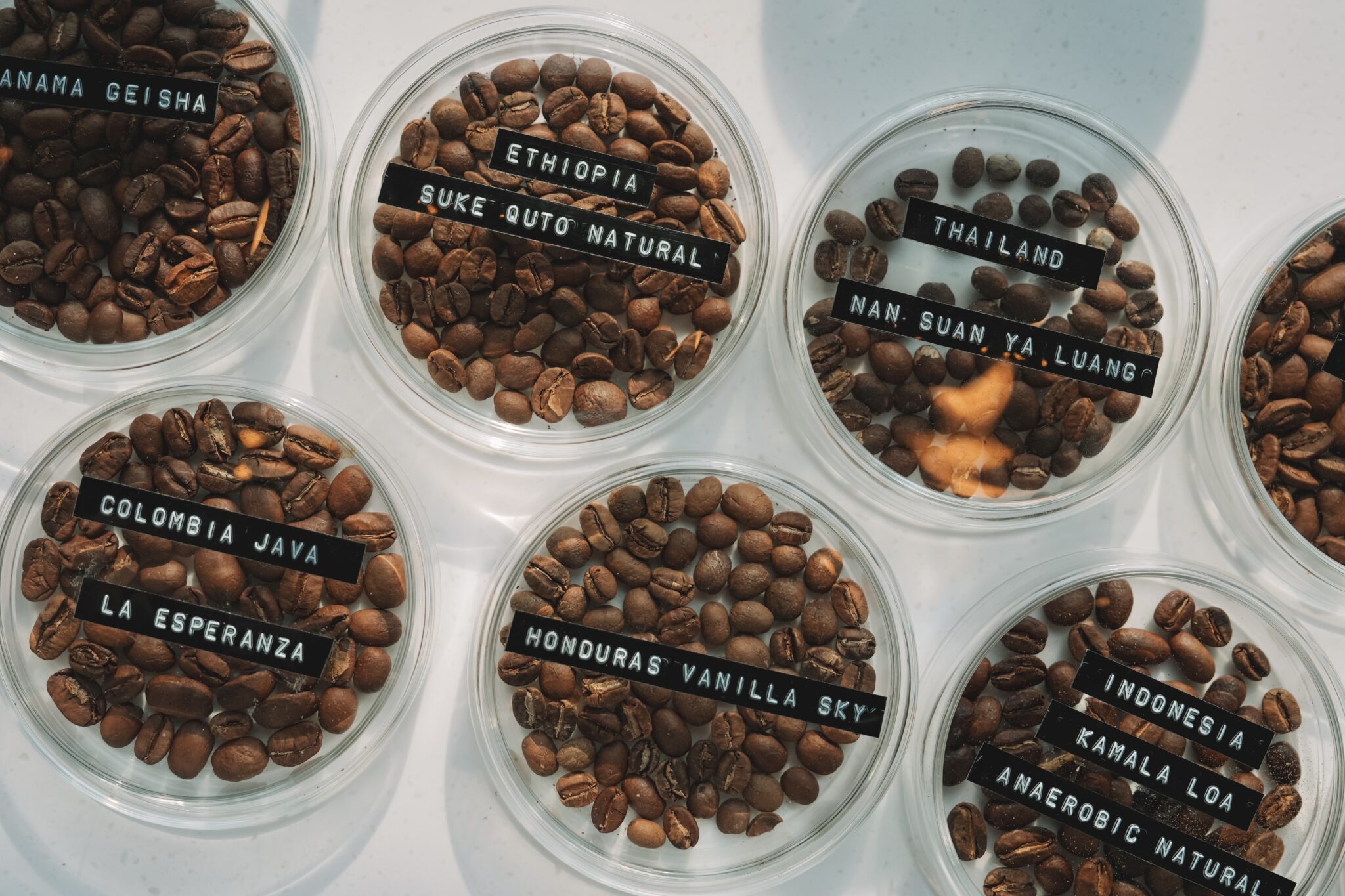 Close-up view of premium coffee beans from various origins, including Panama, Ethiopia, Thailand, Colombia, Honduras, and Indonesia, displayed in clear containers.