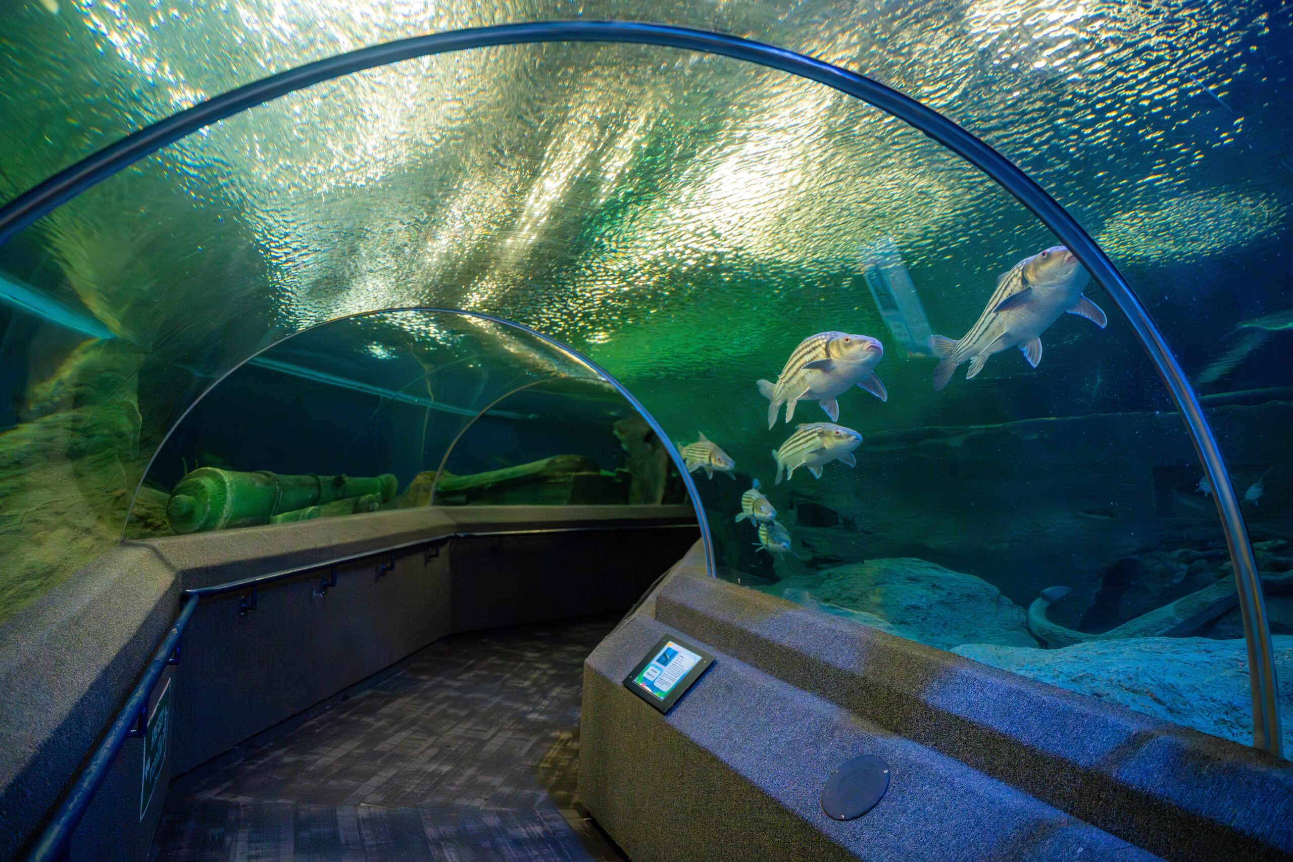 Panoramic view of Underwater World Pattaya's massive aquarium tank teeming with diverse marine life