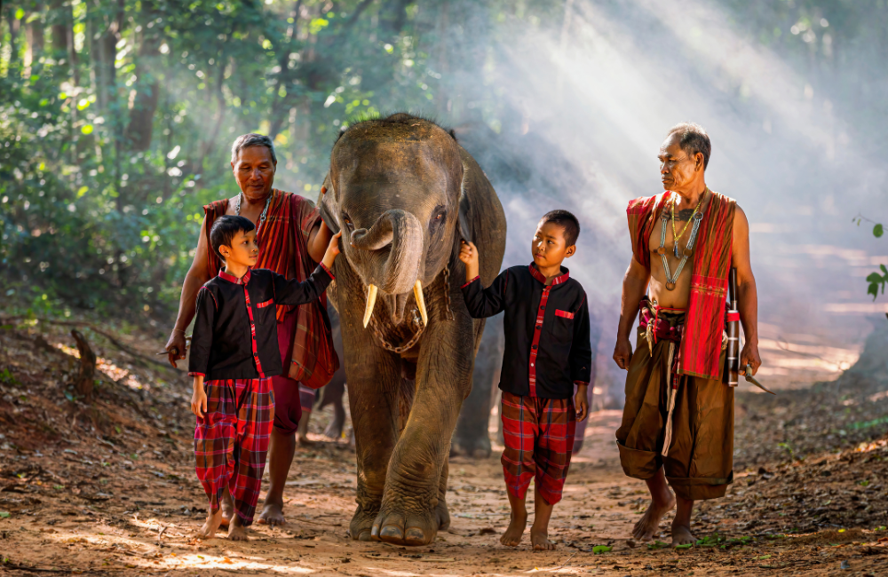 Pattaya Elephant Village