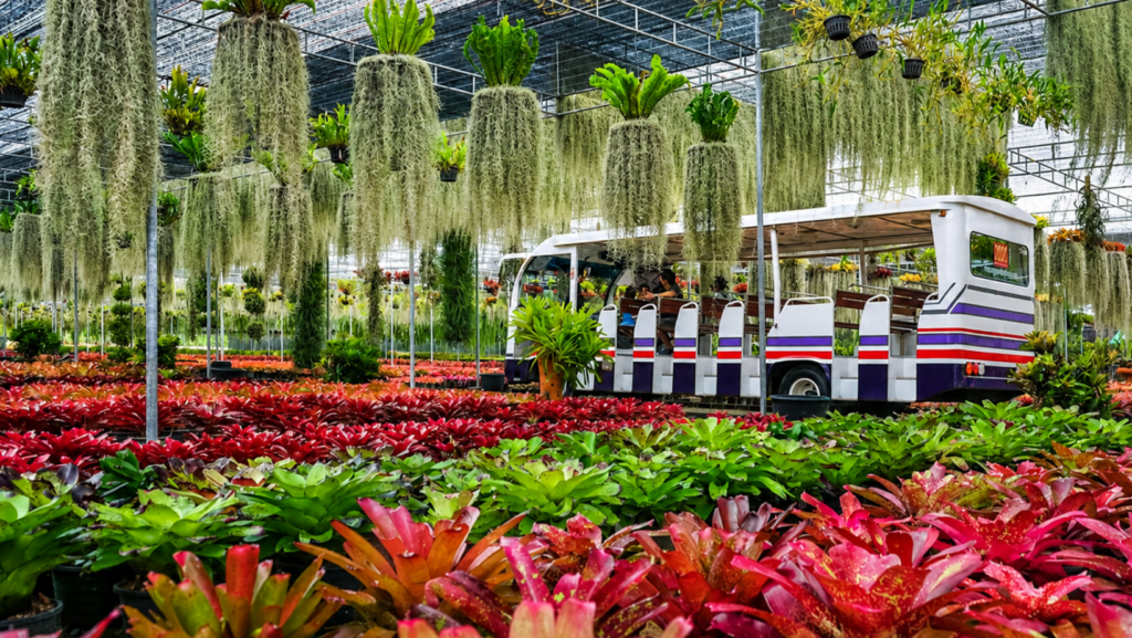 Sightseeing bus passing through tropical gardens at Nongnooch Pattaya